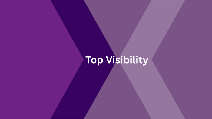 Top Visibility Package image