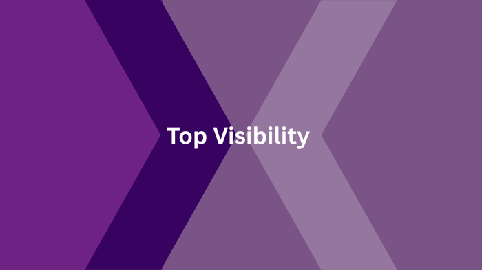 Top Visibility Package image